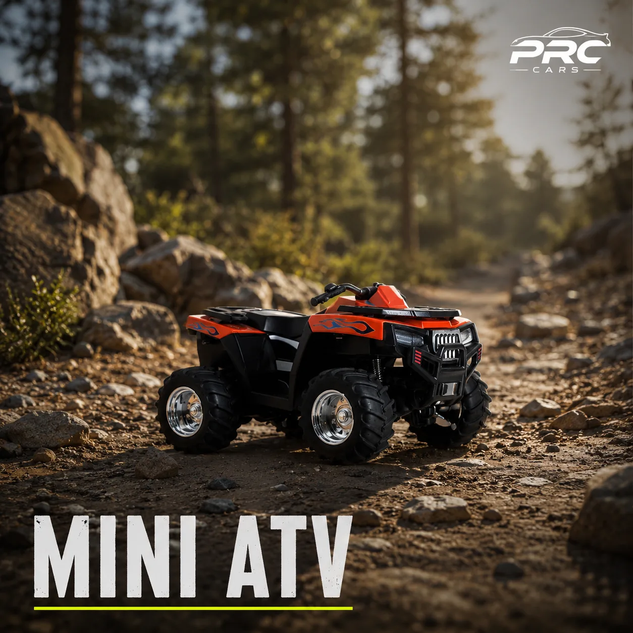 Mini ATV Quad